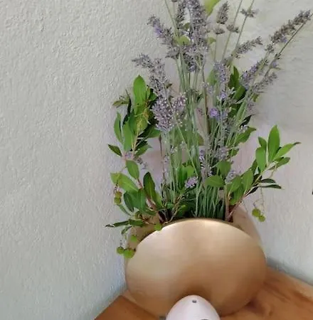 Jolie Mazet Avec Piscine Privee ! * Nîmes