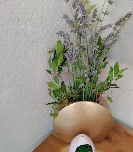 Jolie Mazet Avec Piscine Privee ! * Nimes